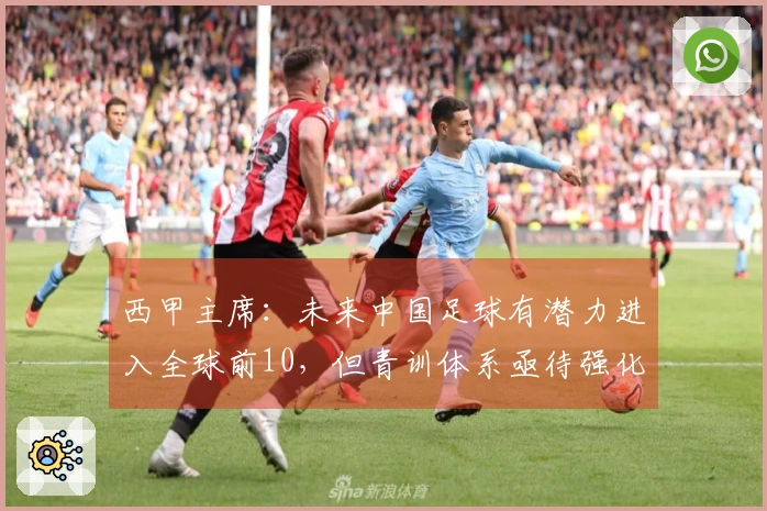 西甲主席：未来中国足球有潜力进入全球前10，但青训体系亟待强化