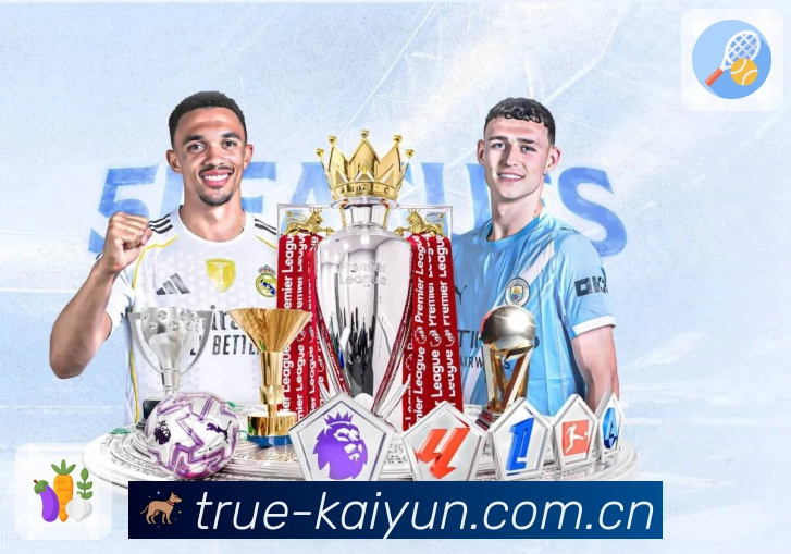 开云APP 高清赛事图